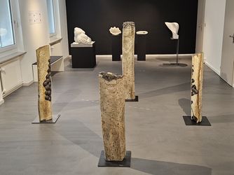 Ausstellung, Aufbruch in Holz und Stein, Kultur Schänis, 2024, Sabine Schwarzenbach-Böhm
