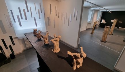 Ausstellung, Aufbruch in Holz und Stein, Kultur Schänis, 2024, Sabine Schwarzenbach-Böhm